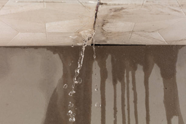 Professional Structural Drying technician working in Blessing, TX